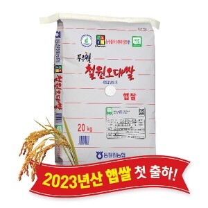 (강원S)(당일도정) 2023년산 동철원농협 철원오대쌀 20kg, 햅쌀