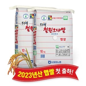 (강원S)(당일도정) 2023년산 동철원농협 철원오대쌀 10kg x 2포, 햅쌀