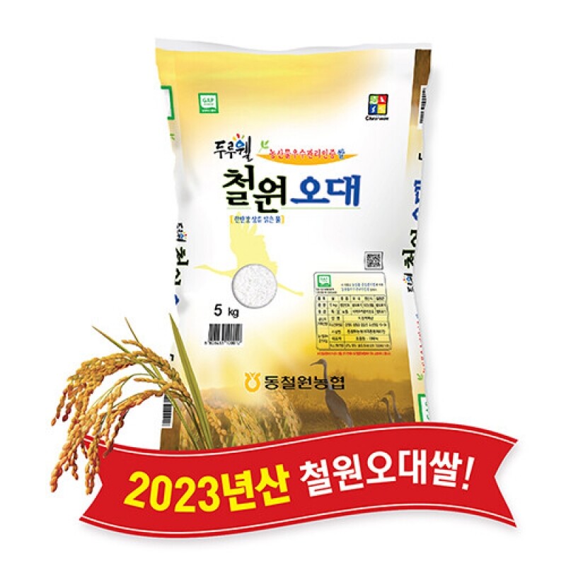 철원몰,(당일도정) 2023년산 동철원농협 철원오대쌀 5kg