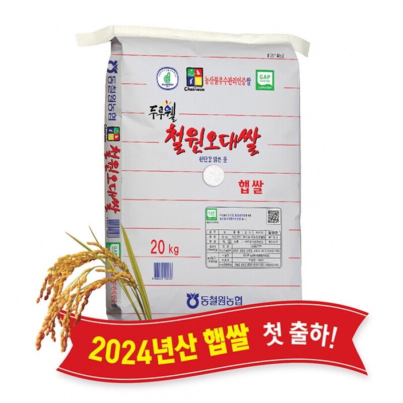 강원더몰,(당일도정) 2024년산 동철원농협 철원오대쌀 20kg, 햅쌀