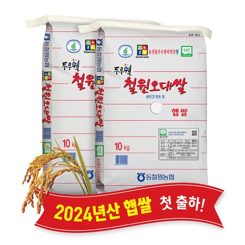 강원더몰,(당일도정) 2024년산 동철원농협 철원오대쌀 10kg x 2포, 햅쌀